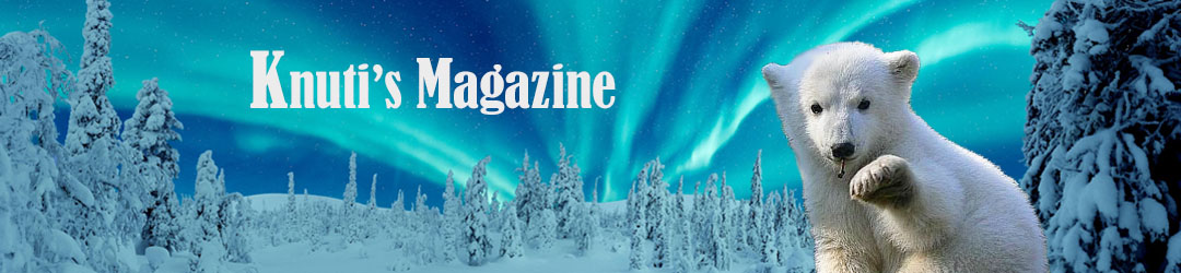 Knuti's Magazine